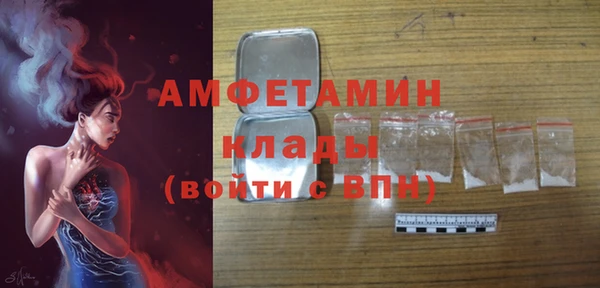 хмурый Арсеньев