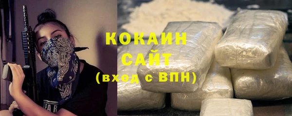 хмурый Арсеньев