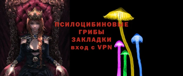 хмурый Арсеньев