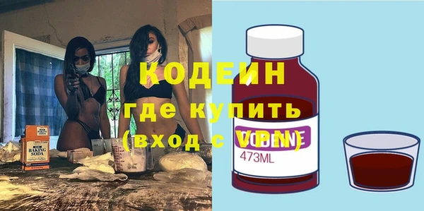 хмурый Арсеньев