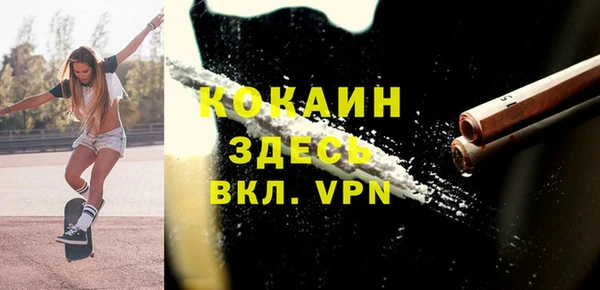 хмурый Арсеньев